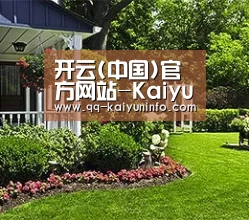 开云(中国)官方网站-Kaiyun